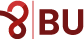 BU Paris8